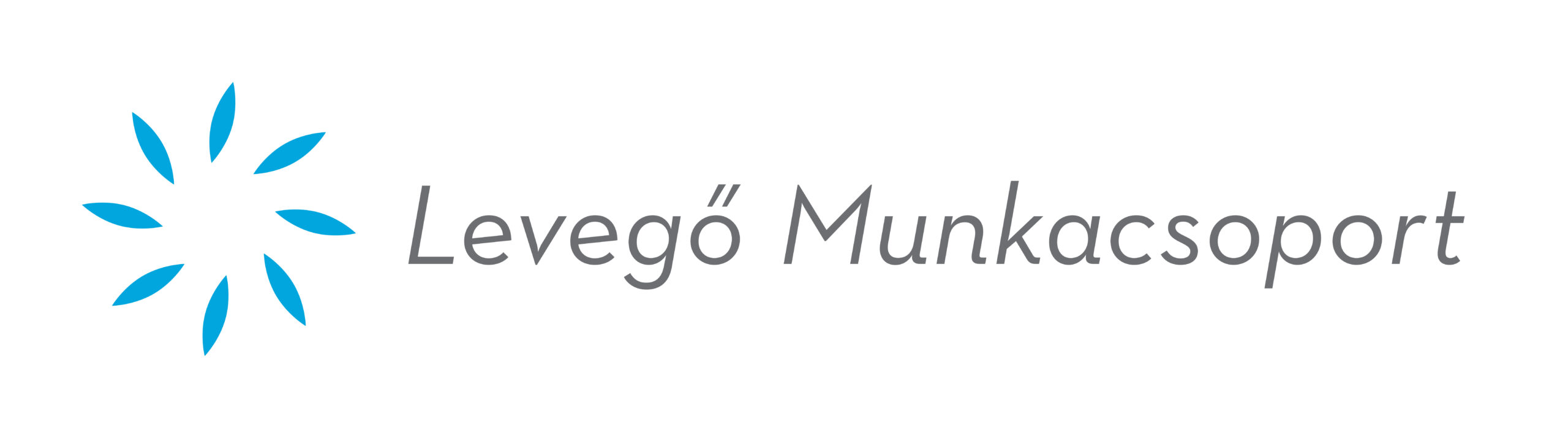 Logo_levegoMunkacsoport